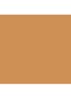 Charlotte's Beautiful Skin Foundation - 11 Warm
