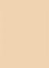 Dior Backstage Face & Body Foundation - 2WO Warm Olive
