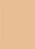 Dior Backstage Face & Body Foundation - 4WO Warm Olive
