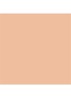Dior Forever Nude Matte Filter - 02 Light
