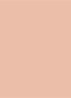 Dior Forever Skin Perfect - Foundation Stick - 2CR Cool Rosy