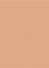 Dior Forever Skin Perfect - Foundation Stick - 3,5N Neutral