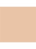 Dior Forever Skin Wear - vloeibare foundation -  2N