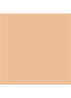 Dior Forever Skin Wear - vloeibare foundation -  2W