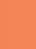 Lip Glow Oil - Limited Edition lipolie - 004 Coral