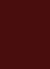 Pure Color Lipstick - MIDNIGHT KISS