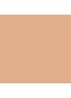 Vanish Airbrush Concealer - Cedar