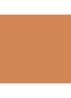 Vanish Airbrush Concealer - Topaz