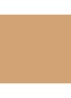 VANISH™ Airbrush concealer - Sepia