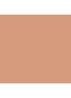 The Radiant SkinTint SPF30 - foundation - Light Medium