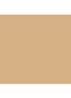 Teint Idole Ultra Wear All Over Concealer -  047 Beige Taupe