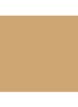 Teint Idole Ultra Wear All Over Concealer - 051 Ch