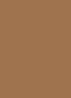 Teint Idole Ultra Wear Foundation - 450W
