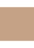 Teint Idôle Ultra Wear Stick Foundation - 04 Beige Nature