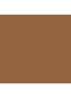 Teint Idôle Ultra Wear Stick Foundation - 10 Beige Praline