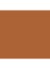 Teint Miracle SPF 15 / PA+++ Foundation - 10 Beige Praline