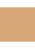 Flawless Lumière Radiance-Perfecting Foundation - 2N1 Cashew