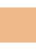 Tinted Moisturizer SPF30 - getinte dagcrème - 1W1 PORCELAIN