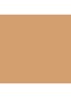 Tinted Moisturizer SPF30 - getinte dagcrème - 3W1 BISQUE