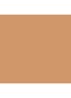 Tinted Moisturizer SPF30 - getinte dagcrème - 4C1 ALMOND