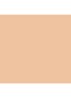 Tinted Moisturizer SPF30 - getinte dagcrème - 0N1 PETAL