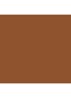 Tinted Moisturizer SPF30 - getinte dagcrème - 5C1 NUTMEG