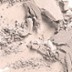 Blot Powder / Pressed - poeder - Medium