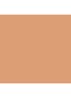 Studio Radiance Face and Body Radiant Sheer Foundation - N1
