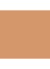Studio Radiance Face and Body Radiant Sheer Foundation - N5