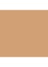 Studio Radiance Face and Body Radiant Sheer Foundation - C1