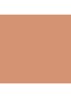Studio Radiance Face and Body Radiant Sheer Foundation - W2