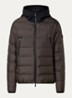 Puffer jack met donsvulling en capuchon - Donkerbruin