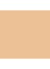 Soft Matte Complete Foundation - Punjab