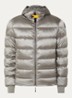 Pharrell puffer jack met capuchon en logo - Grijs