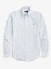 Custom fit button-down overhemd van katoen - Blue White Stripe / Blauw