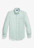 Custom fit overhemd met streepprint - Cruise Green / White / Lindegroen