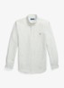 Custom fit Oxford overhemd met streepprint - Shamrock White / Wit