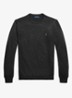Fijngebreide pullover van wol met logo - Dark Granite Hthr / Donkergrijs
