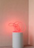 Flex Tube ledverlichting 5 meter - Rood