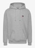 Hoodie met logoborduring - Grijs