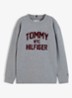 Longsleeve met logo - Grijs