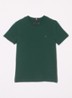 T-shirt met logoborduring - Ornamental Green-L6K / Groen
