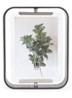 Bellwood fotolijst 5 x 19 cm - Zwart