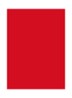 Rouge Pur Couture Lipstick  - R1