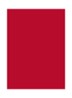 Rouge Pur Couture Lipstick  - RM