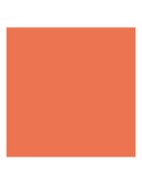 Cheek Tint - vloeibare blush - 31 Vivid Coral