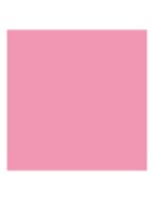 Cheek Tint - vloeibare blush - 53 Bold Pink