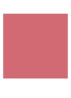 Cheek Tint - vloeibare blush - 62 Delicate Mauve