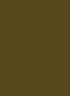 Eye Tint Vloeibare Oogschaduw - 90M Olive