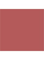 Lip Maestro Liquid Lipstick - vloeibare lipstick - 500 Blush